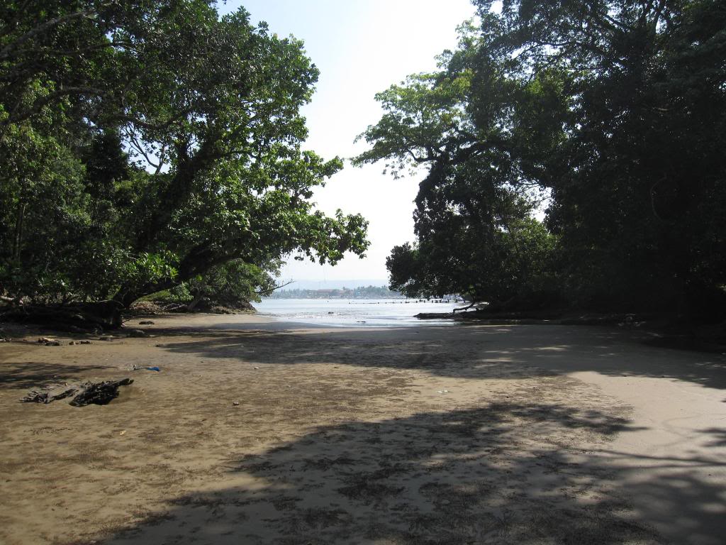 Jelajahi Pesona Pangandaran Surga Pantai Di Jawa Barat Yang Cocok