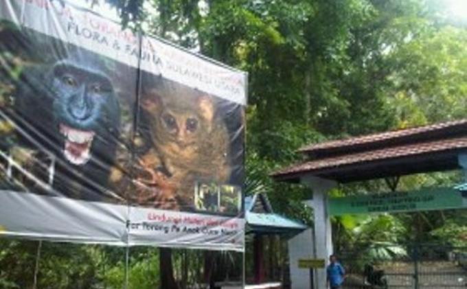 Image result for Cagar Alam Gunung Tangkoko Batuangus."