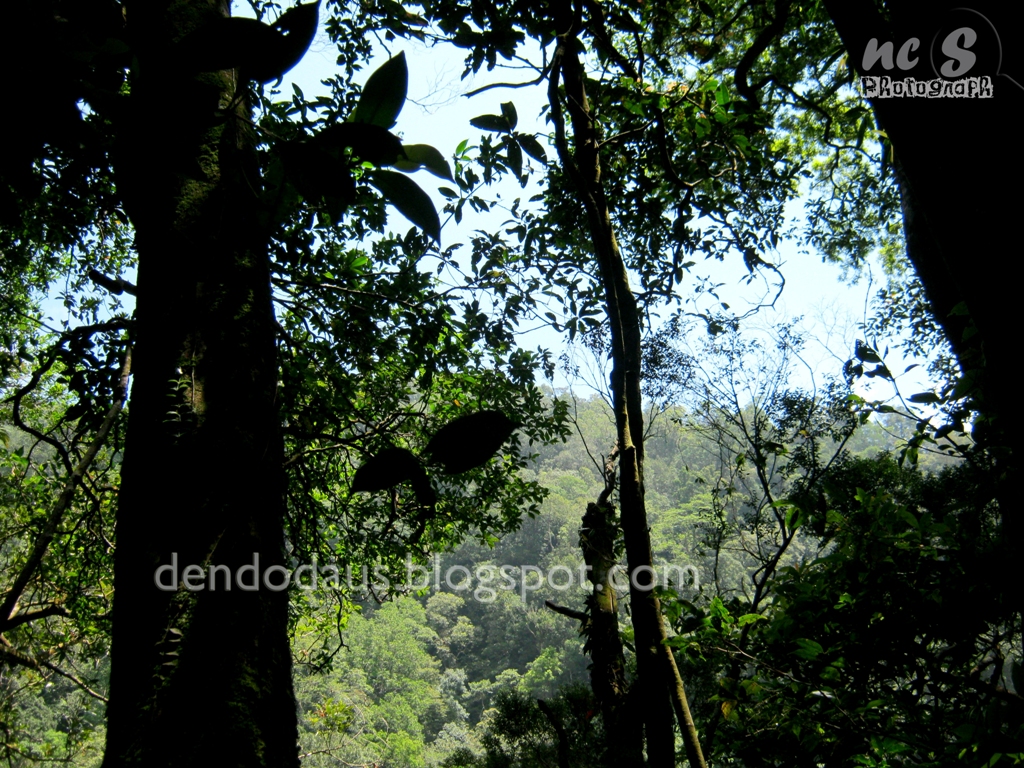 Taman Hutan Raya Bukit Barisan