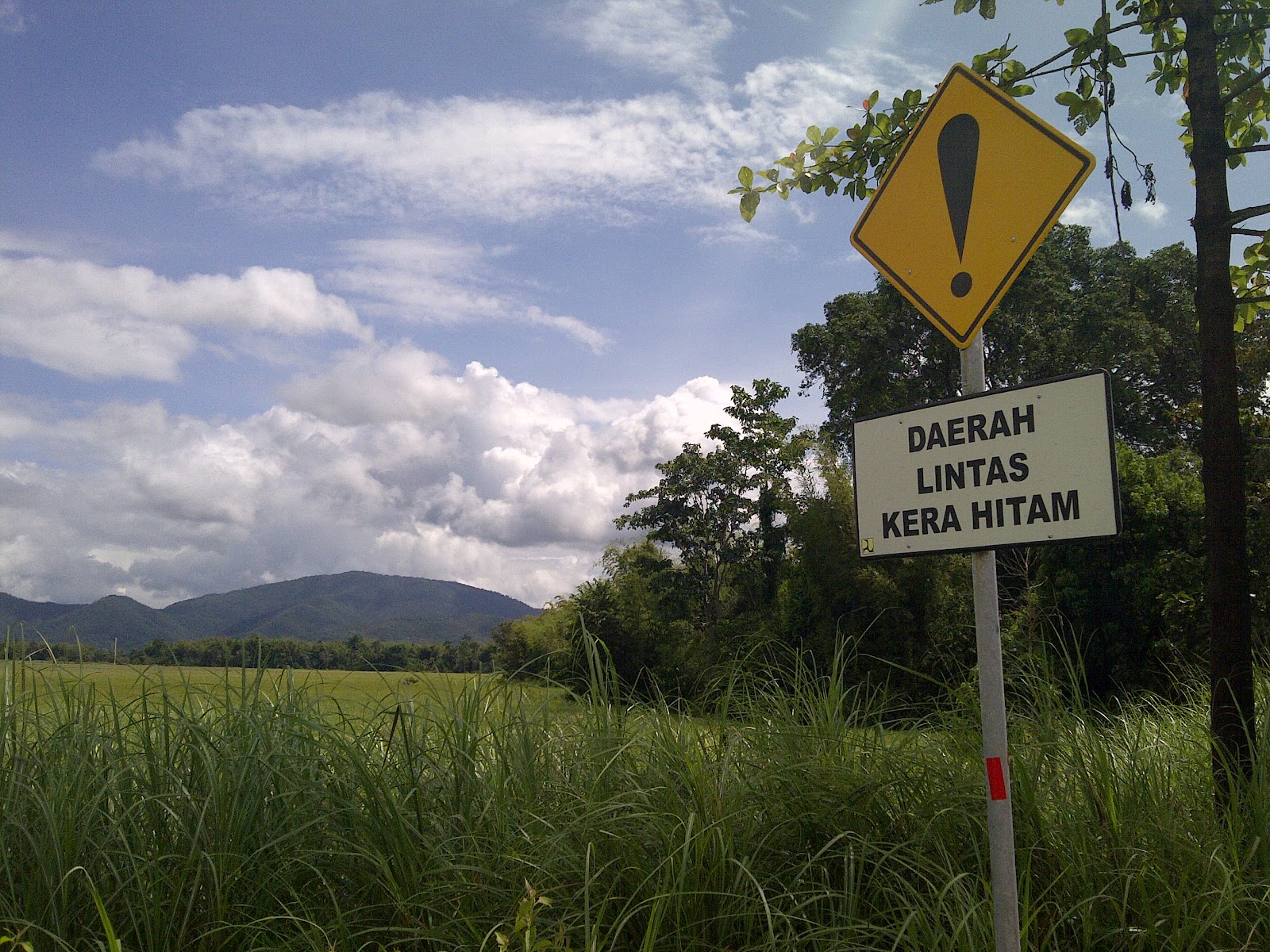 Taman Nasional Rawa Aopa Watumohai