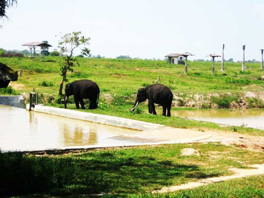 Taman Nasional Way Kambas