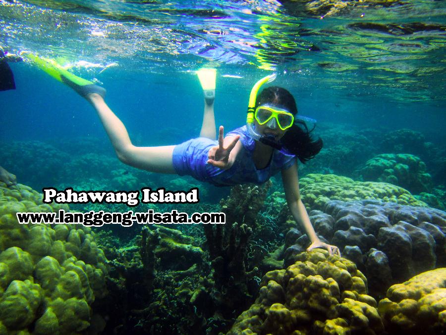 Wisata Pulau Pahawang Lampung Indonesia