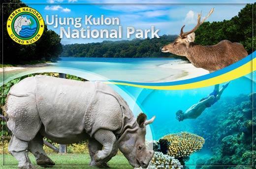 Open Trip Kawan Setia Tour To Explore Taman Nasional Ujung Kulon