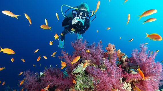 Eksplorasi bawah laut