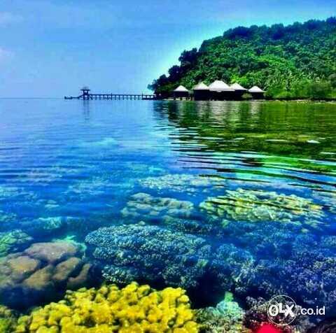 Wisata Pahawang Lampung Dengan Speed Boat Snorkling