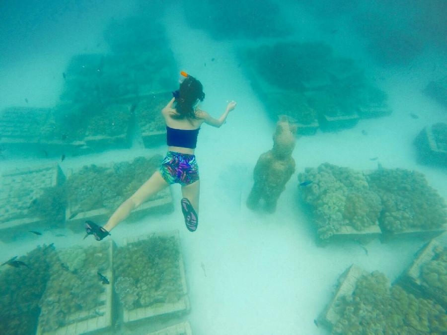 Wisata Pulau Peucang Taman Nasional Ujung Kulon