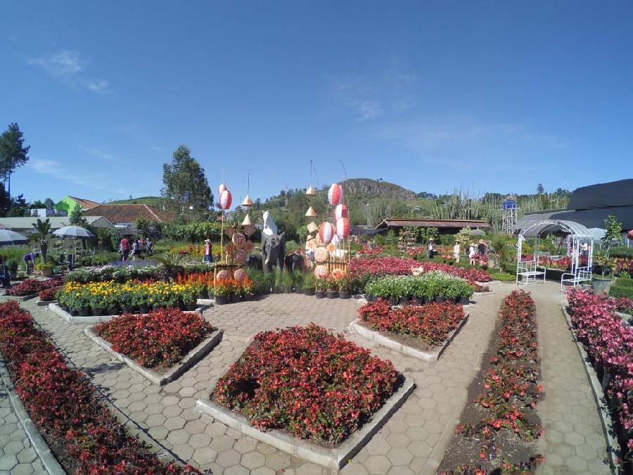 One Day Trip Floating Market De Ranch Taman Bunga Begonia