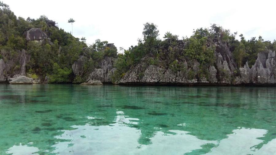 Raja Ampat Escapes: Dive into Pristine Paradise Bliss