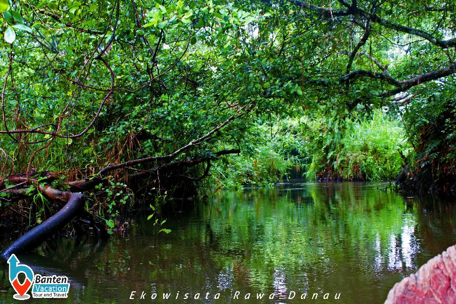 Ekowisata Explore Cagar Alam Rawa Danau